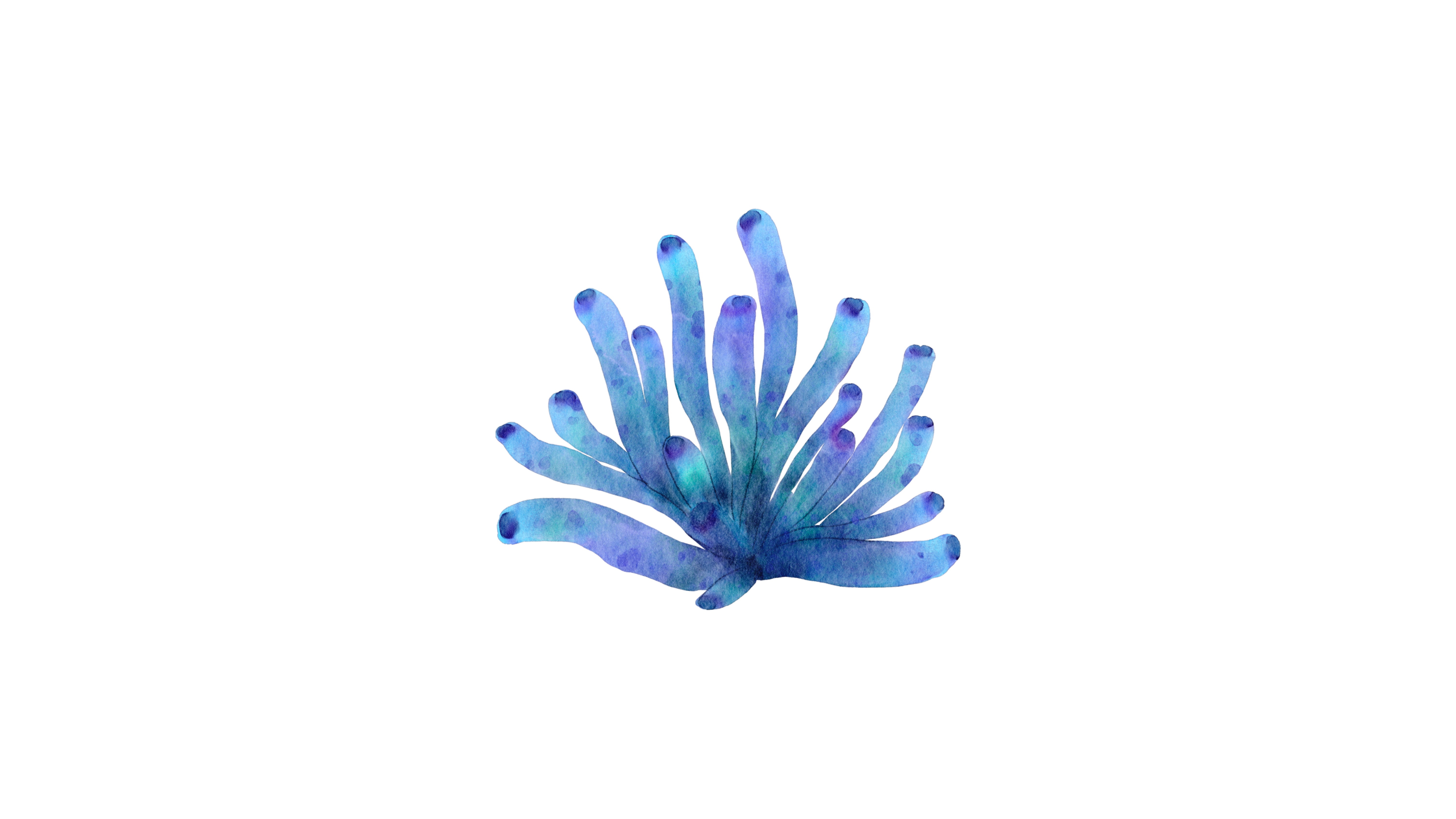 Coral Connect aaLogo